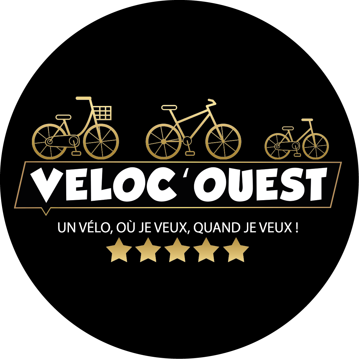 Logo VELOC'OUEST - LOCATION DE VELOS 