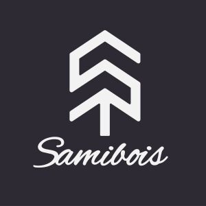 Logo PROMENET